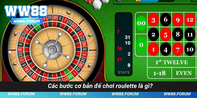 Các bước cơ bản để chơi roulette là gì?