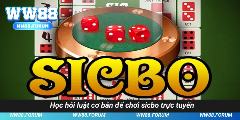 Học hỏi luật cơ bản để chơi sicbo trực tuyến