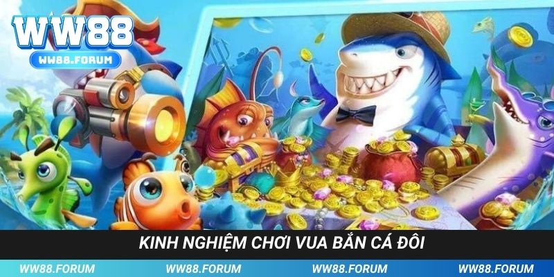 Kinh nghiệm săn sinh vật biển không tốn nhiều đạn từ cao thủ