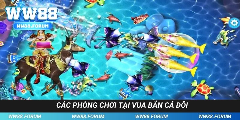 Phòng chơi được cung cấp tại game vua bắn cá đôi từ nhà cái