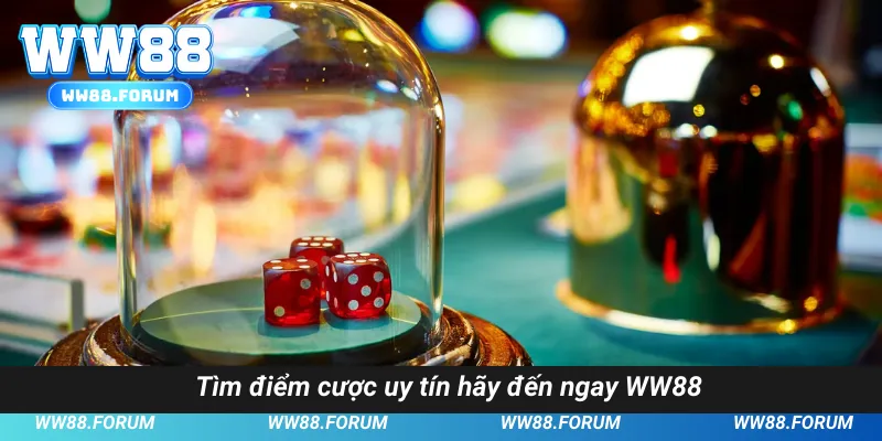 Tìm điểm cược uy tín hãy đến ngay WW88