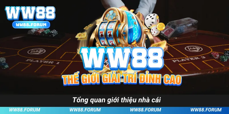 Tổng quan giới thiệu nhà cái