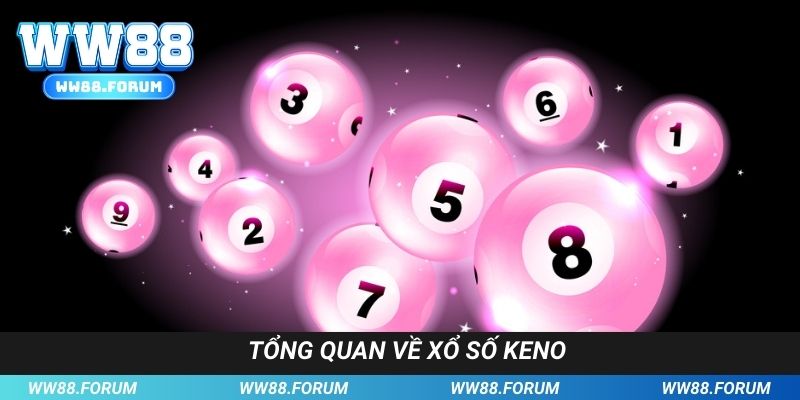 Vài nét sơ lược về loại hình quay xổ số Keno