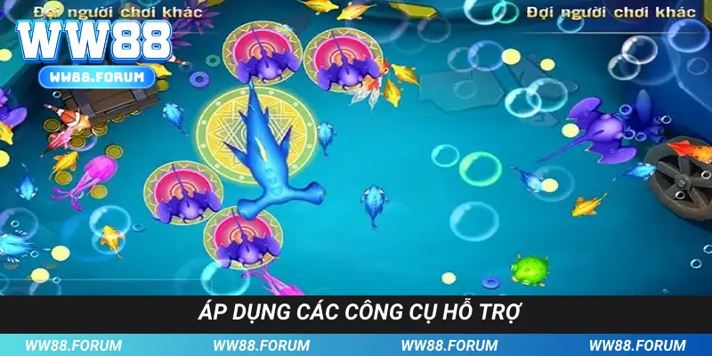 Áp dụng các công cụ hỗ trợ