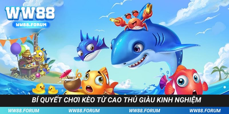 Mẹo chơi bắn cá đổi thưởng hiệu quả cho tân thủ