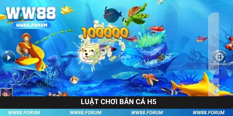 Chia sẻ luật lệ cơ bản trong game