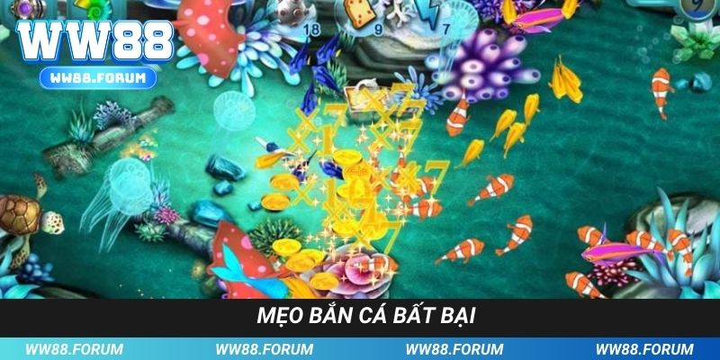 Bí kíp săn mồi như các cao thủ chuyên nghiệp