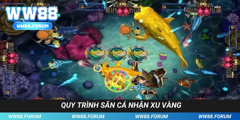 Quy trình săn cá nhận xu vàng