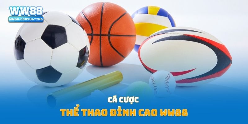 Cá cược thể thao đỉnh cao WW88